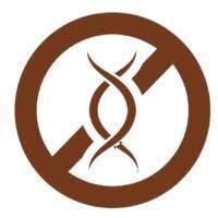 Totopo pré-cozido para fritar (cores) 1000 gr